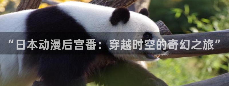 age动漫官网网址：“日本动漫后宫番：穿越时空的奇幻之旅”
