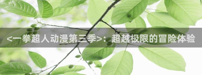 下载age动漫：<一拳超人动漫第三季>：超越极限的冒险体验