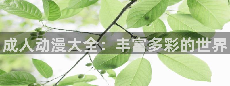 age动漫樱花：成人动漫大全：丰富多彩的世界
