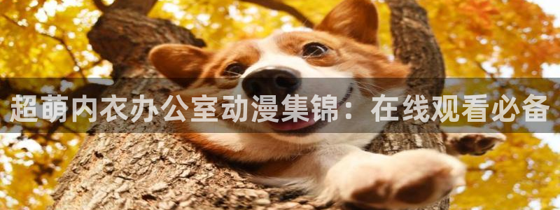 age动漫下载入口：超萌内衣办公室动漫集锦：在线观看必备