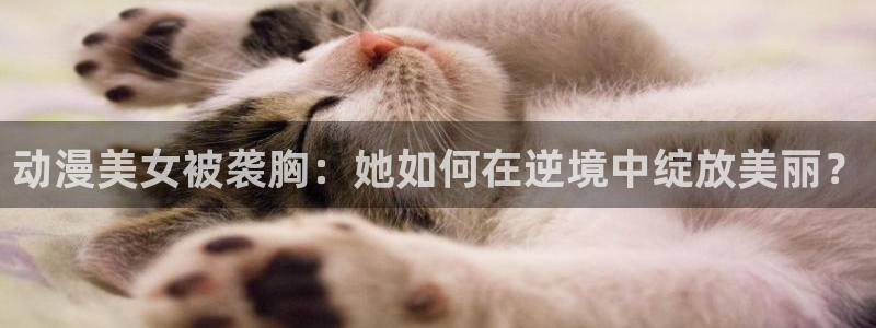 韩国漫画平台kakaopage：动漫美女被袭胸：她如何在逆境中绽放美丽？