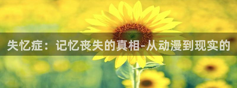 age动漫专注动漫的门户网站