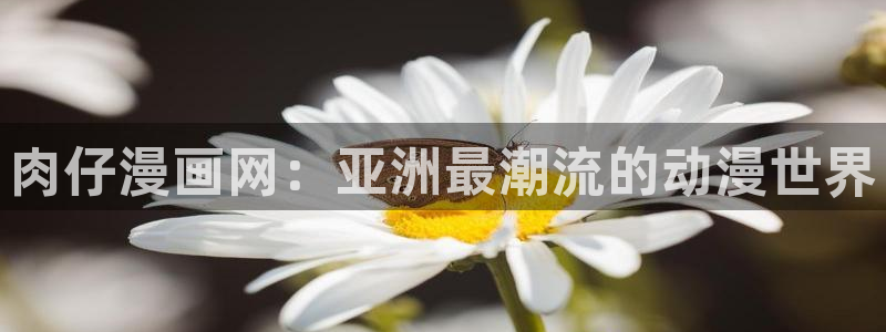age动漫樱花