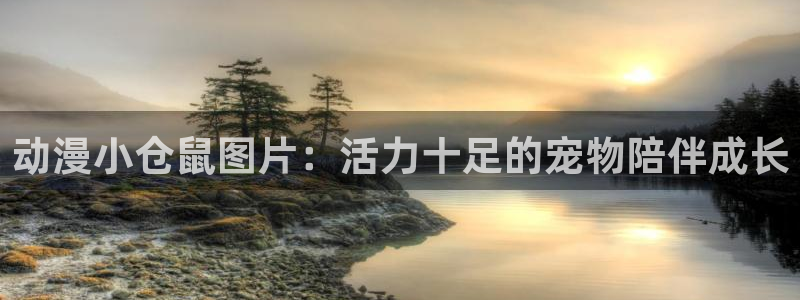 age动漫网上看