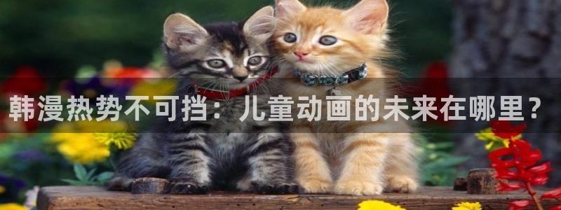 age动漫