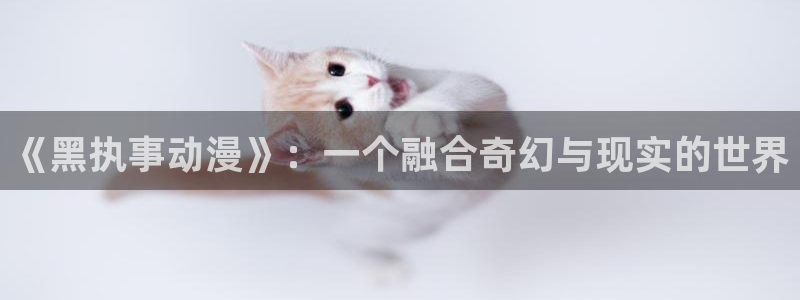 age动漫下载网