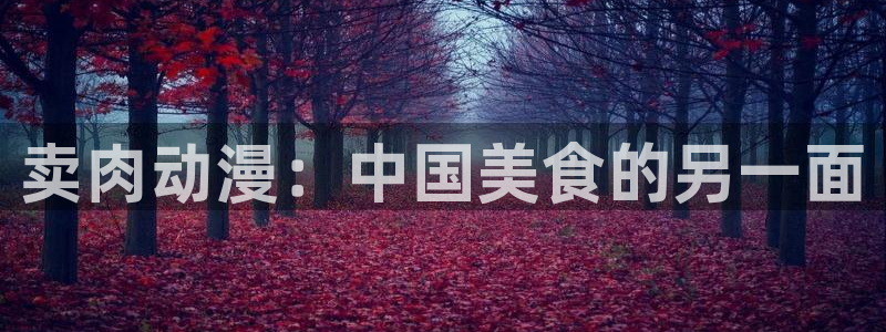 age动漫