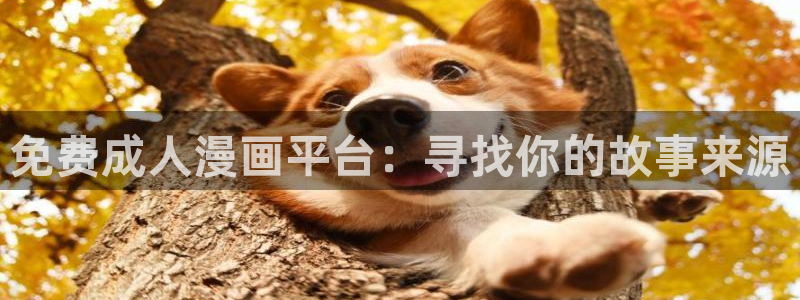 age动漫下载入口