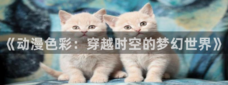 拷贝漫画 copymanager.ory网站
