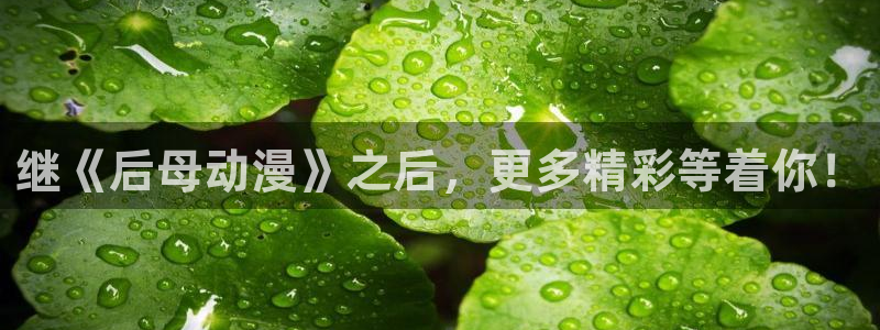 下载age动漫