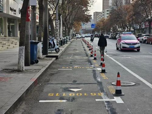 兰州车主热议 道路沿线再添新泊位，停车难题迎缓和