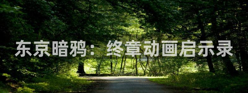 age动漫下载动漫全免费：东京暗鸦：终章动画启示录
