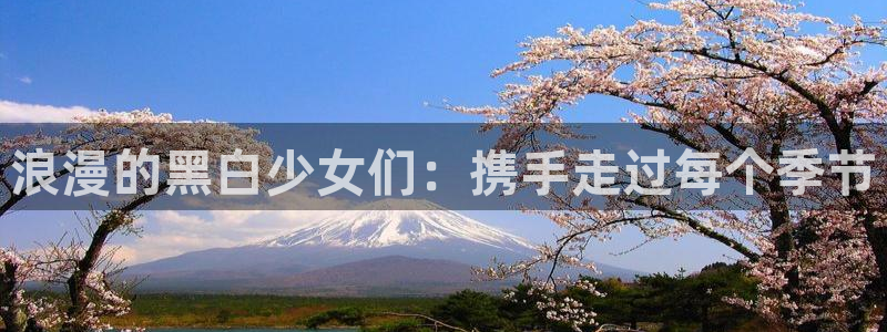 age动漫下载网