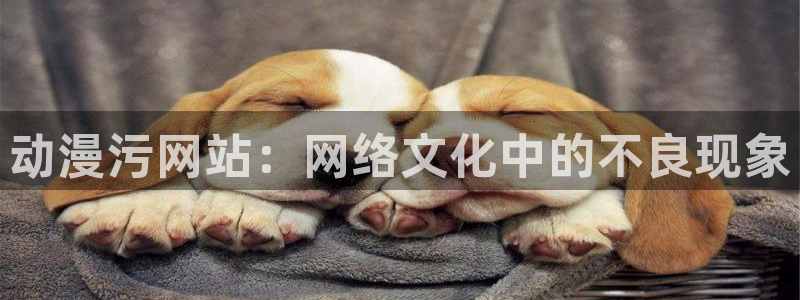 age动漫官网网址