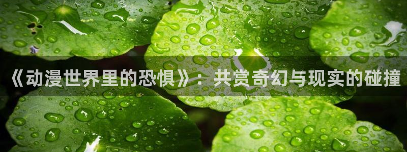 age动漫正版网