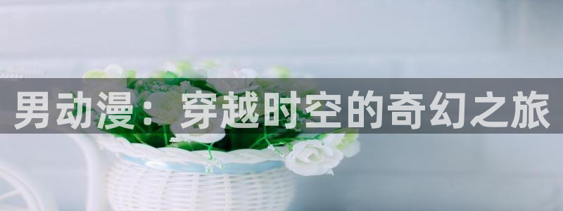 age动漫